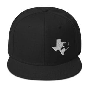 Dillo Texas 6-Panel High Profile Flat Visor Snapback Hat - Black